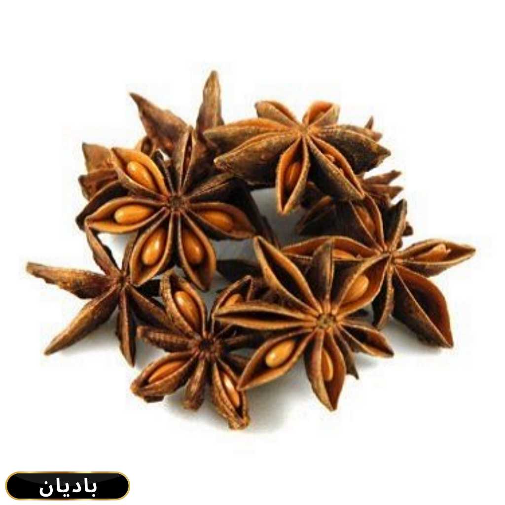Star Anise - Badiyan K Phool 100gm Packs